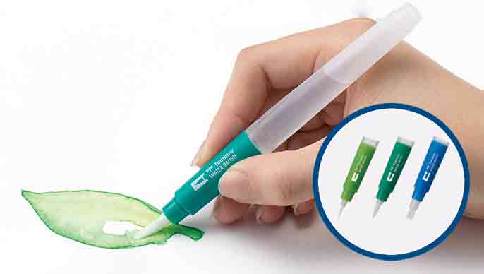 Water Colour Brush Set with Fine Tip |Medium Tip |Flat Tip